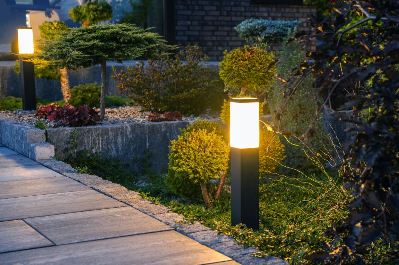 Accent Lighting for Trees and Shrubs