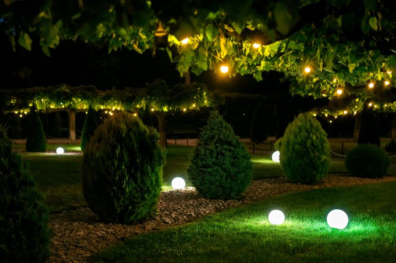 Tree and Landscape Accent Lighting